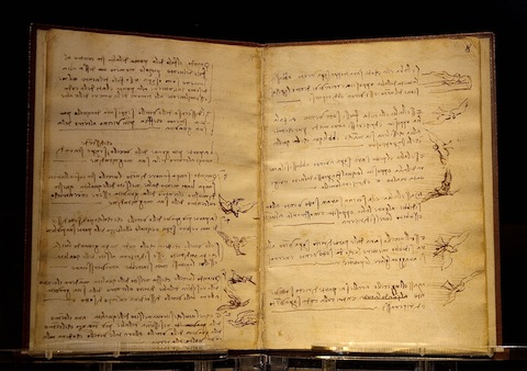Da_Vinci_codex_du_vol_des_oiseaux_Luc_Viatour